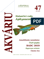 Akvárium 47 PDF