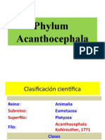 Acanthocephala: Morfología y ciclo de vida del filo de los acantocéfalos