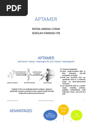 Aptamer Biochemistry Biology
