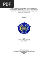 Download K100050217 by Gatut Wicaksono SN47120669 doc pdf