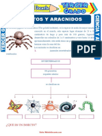Insectos-y-Aracnidos-para-Niños-para-Tercer-Grado-de-Primaria.doc