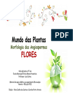 Apresentacao Flores PDF