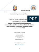 Informe Proyecto Piro As Ecology (Avance)