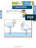 Aves-y-Mamíferos-para-Tercer-Grado-de-Primaria.doc