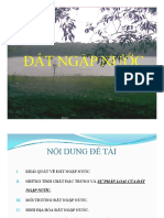 Báo cáo đề tài_ Đất ngập nước_927716 (1).pdf