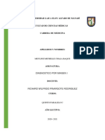 DX PDF