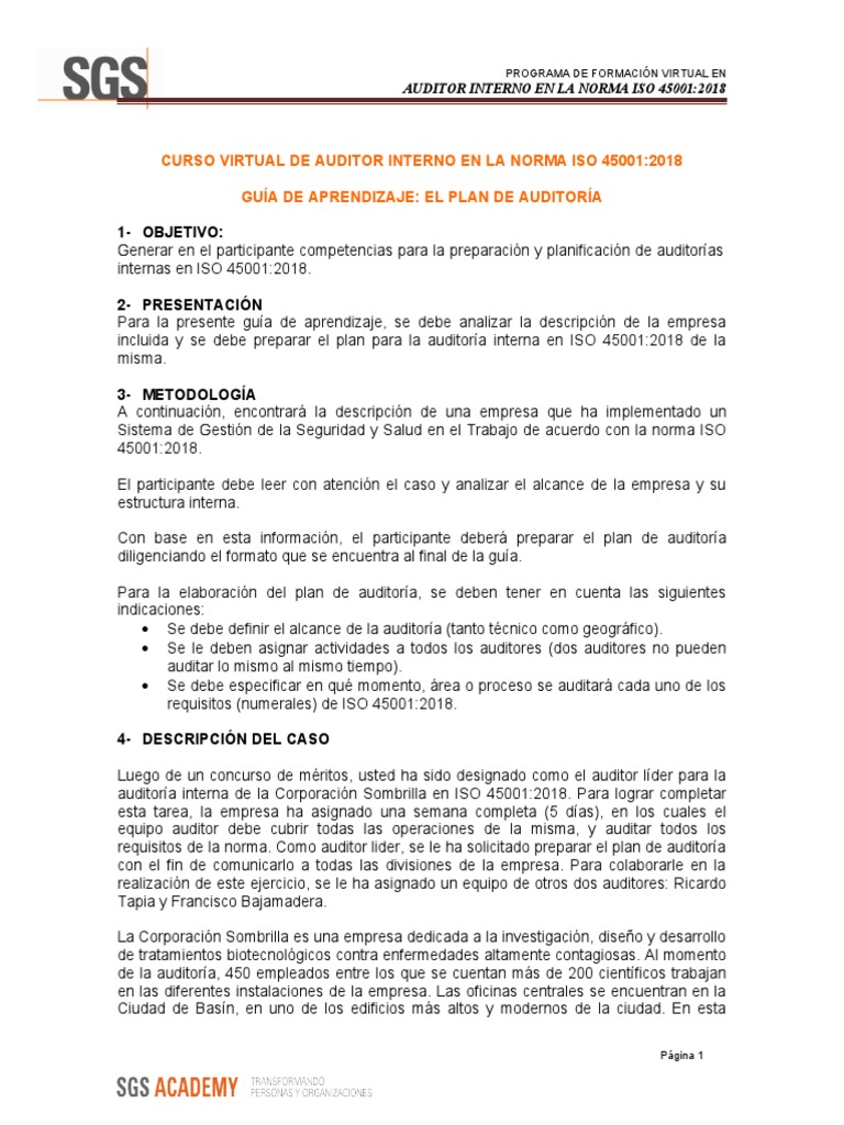 Plan de Auditoría Interna ISO 45001 | PDF | Contralor | Organización ...