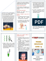 Triptico Pruebas Molecular