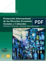Proteccion Internacional de Los Desc PDF