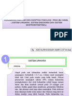 Adaptasi Fisiologi Kehamilan