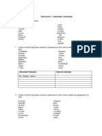 Fisa de Lucru. Categorii Semantice (Clasa A V-A)