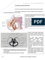 The Pituitary Gland and Disorders