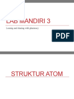 Lab Mandiri 3