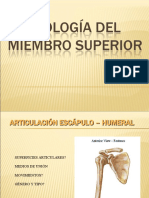 ARTROLOGÍA DEL MIEMBRO SUPERIOR - copia