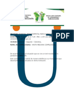 Fase 2 Diligenciado Cuestionario Servicio Farmaceutico Hospitalario M!ller.