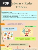 Cadenas y Redes Troficas
