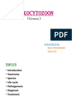 Leucocytozoon