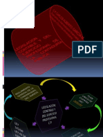 Legislacion Contable y Normas Del Ejercicio Profesional