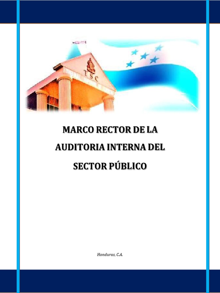 Marco Rector de La Auditoria Interna Del Sector Publico | PDF ...
