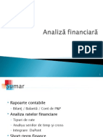 Analiza Ratelor Financiare