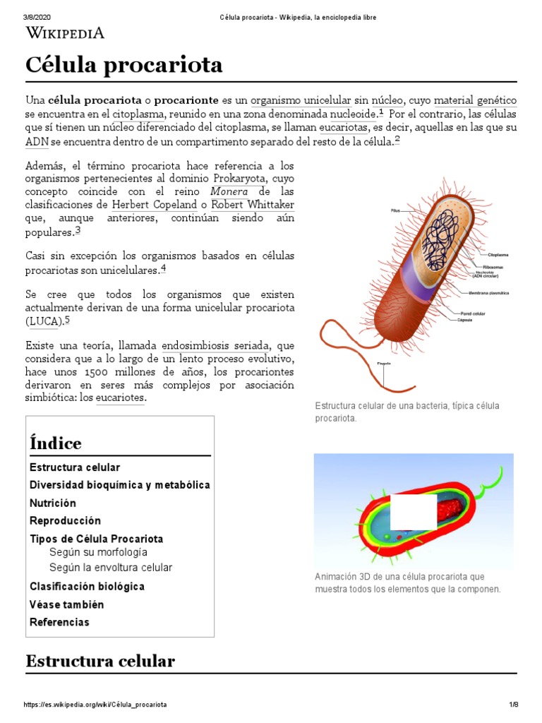 Célula Procariota - Wikipedia, La Enciclopedia Libre | PDF | Procariota |  Archaea
