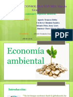 economia ambiental (1).pptx