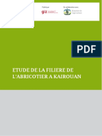 GIZ - Etude Abricotier Kairouan - 2014 PDF