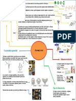 Procesador de Información sobre el Amyscota 