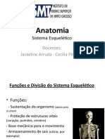 Anatomia-SISTEMA ESQUELETICO