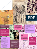 Tejido Oseo PDF