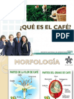 Qué Es El Café