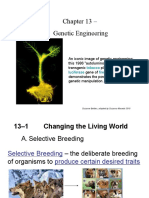 Chapter 13 - Genetic Engineering