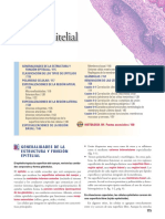 Epitelial y Conectivo PDF