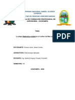 Diabortica Viridula PDF