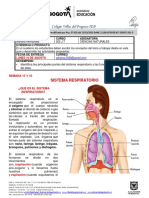 Ciencias Naturales - 202 - Semana 15-16