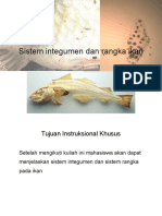 SISTEM INTEGUMEN DAN RANGKA IKAN