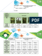 Botanica Economica 1