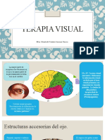 Terapia visual 1.pptx