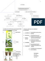 Mapa conceptual sobre tipos de respuestas y tropismos en plantas