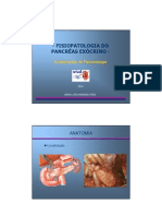 Fisiopatologia Pancreas Exocrino-Cores