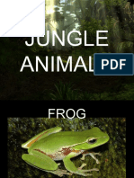 Jungleanimals 120502140236 Phpapp01 PDF