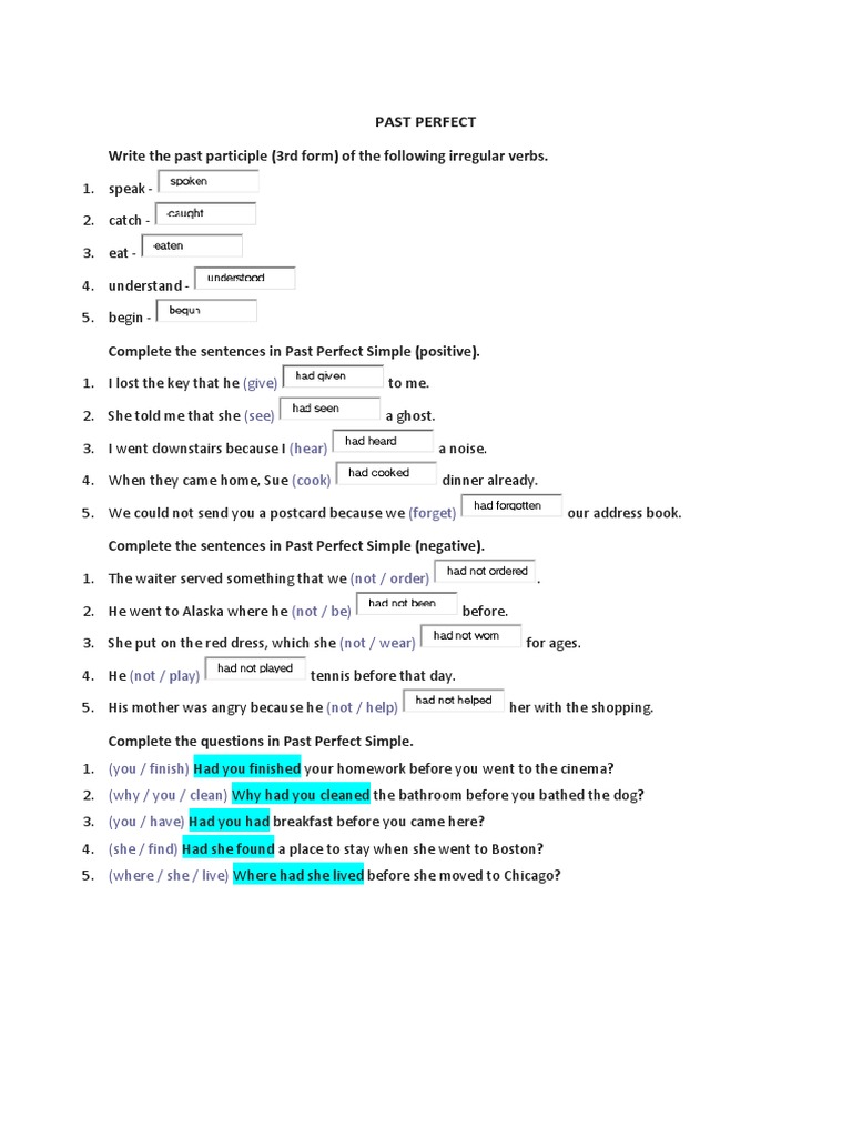Past Perfect Exercises and Examples | PDF