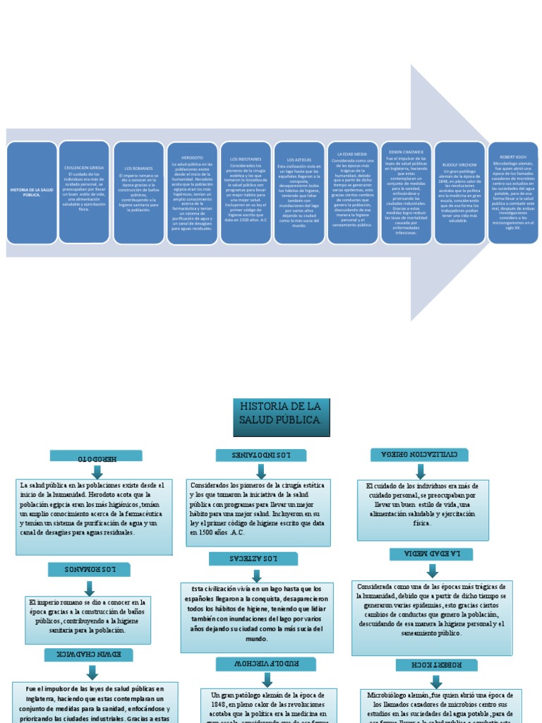 Mapa Conceptual de Salud Publica | PDF | Higiene | Saneamiento