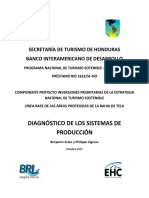 Diagnóstico Sistemas de Producción