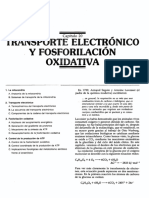 Copia de CAPITULO 20 Transporte Electrónico y Fosforilación Oxidativa PDF