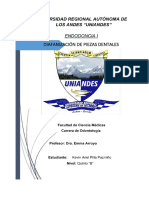 Informe Diafanizacion Kevin Pilla PDF