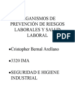 Seguridad e Higiene Industrial 2.0