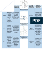 Tipo de Fermentación2