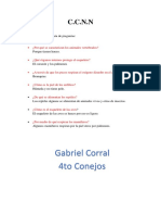 CCNN PDF