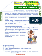 Partes Del Cuerpo Humano para Segundo Grado de Primaria